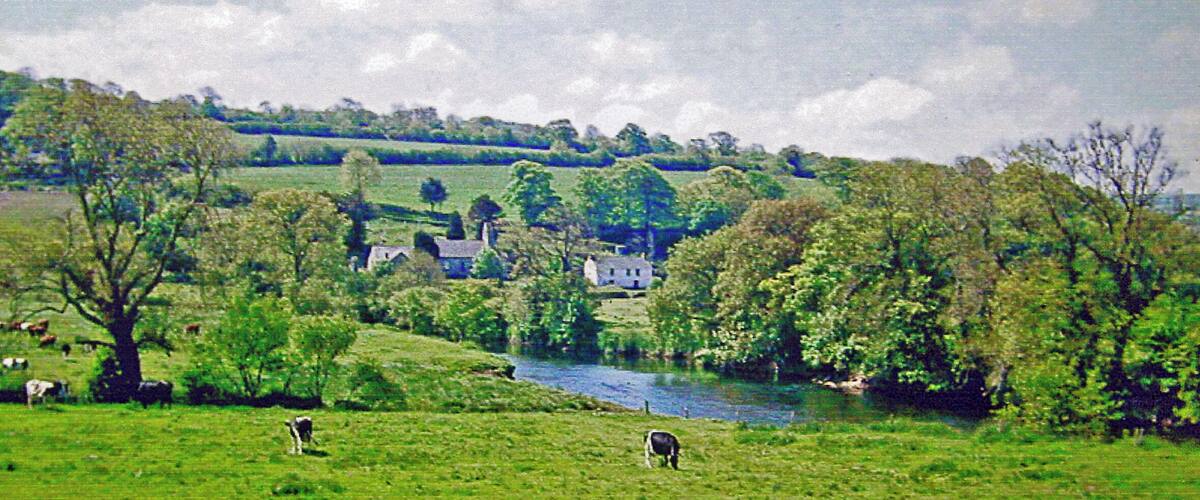 A green field with cows, a river, and a house in the background.