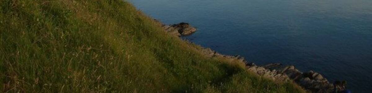 River Teifi from Gwbert.