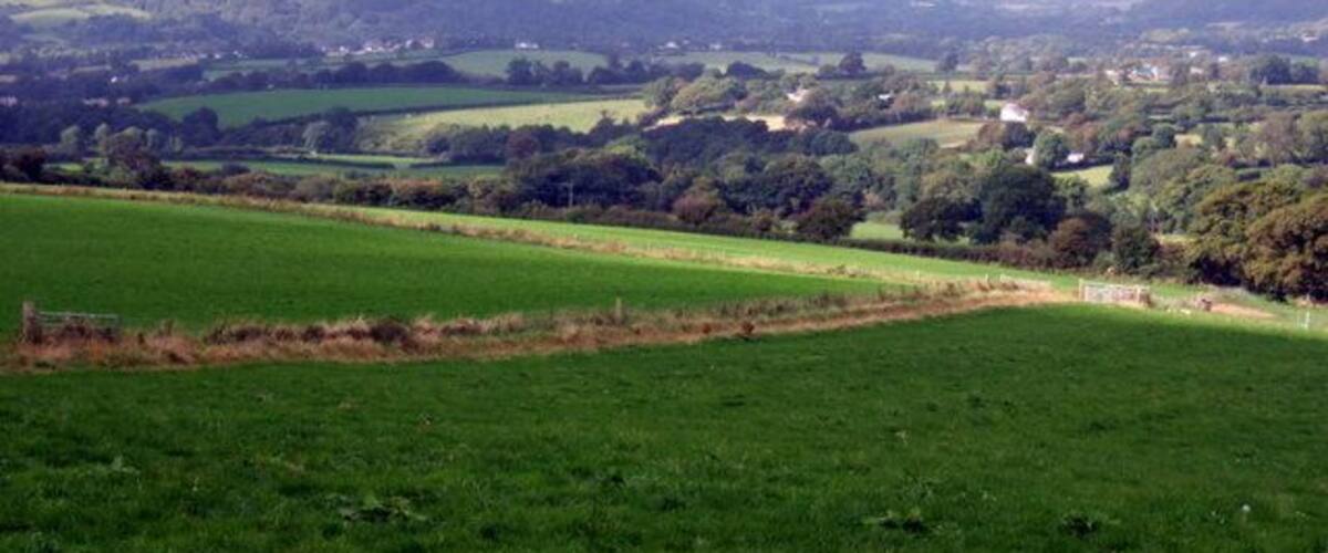 A green field with a fence, rolling hills, and scattered trees in the distance.
