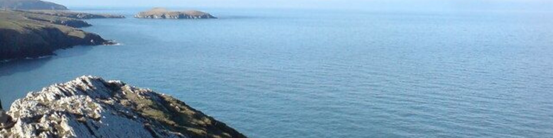 View of Cardigan Island (from Foel y Mwnt) Looking west along the coastal path across Pen yr Hwbyn.