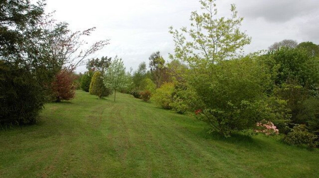 Grounds of Ty-hen Farm A footpath passes through the large garden of Ty-hen Farm. The garden contain a wide range of trees and shrubs.