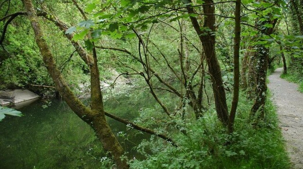 River Teifi The river Teifi below Cnwce to the east of Cilgerran.