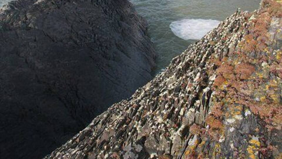A rocky coastline with waves crashing against large boulders and a rugged sea cliff.