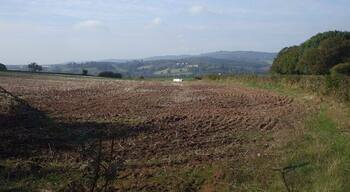 Michaelston-y-Fedw