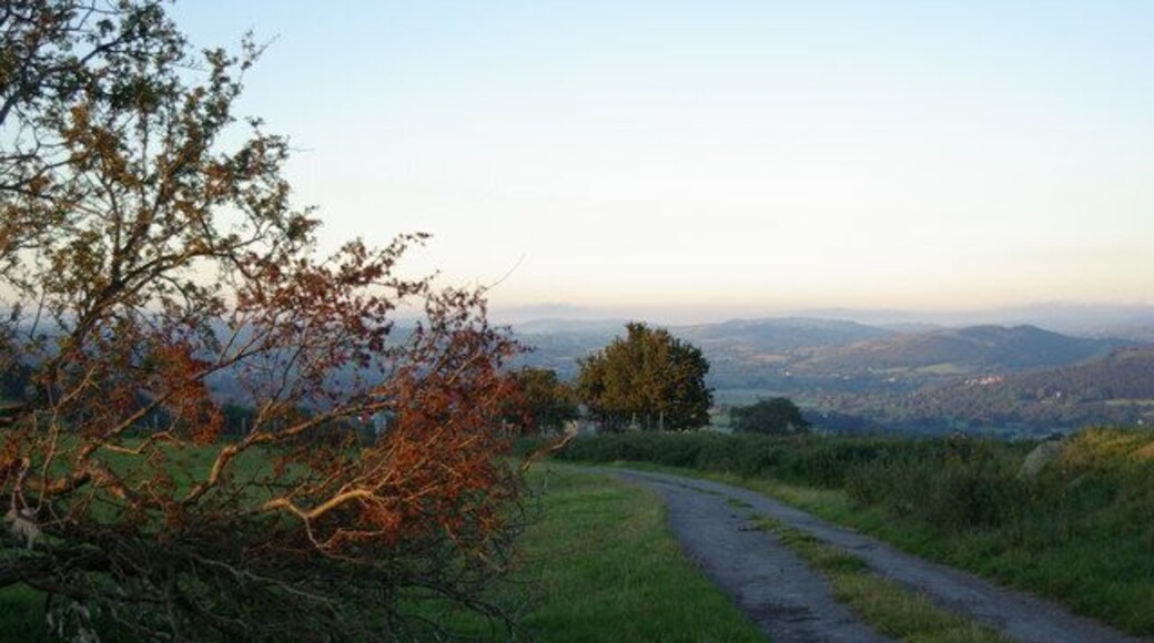 Off the beaten track Overlooking the Upper Dee valley. Cynwyd can be seen in the distance.