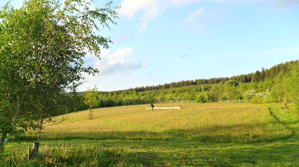 Coed Keri at Hafotty Newydd