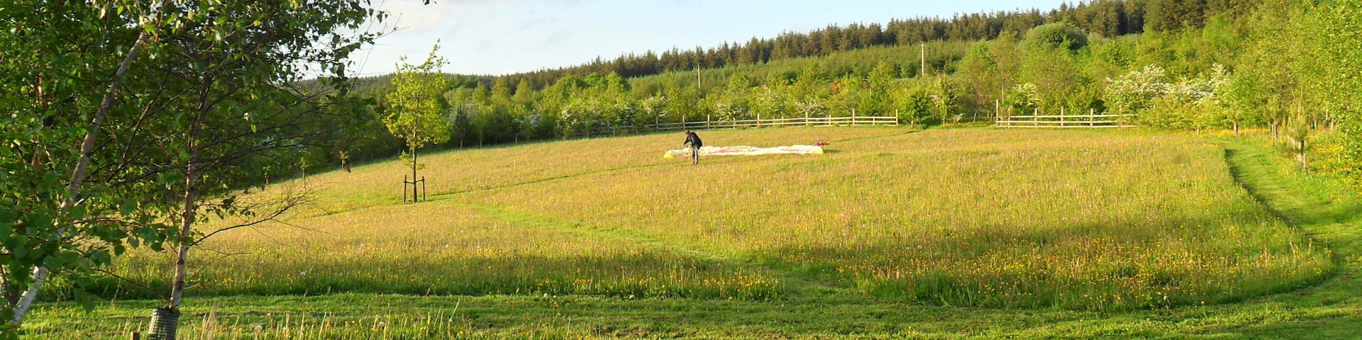 Coed Keri at Hafotty Newydd