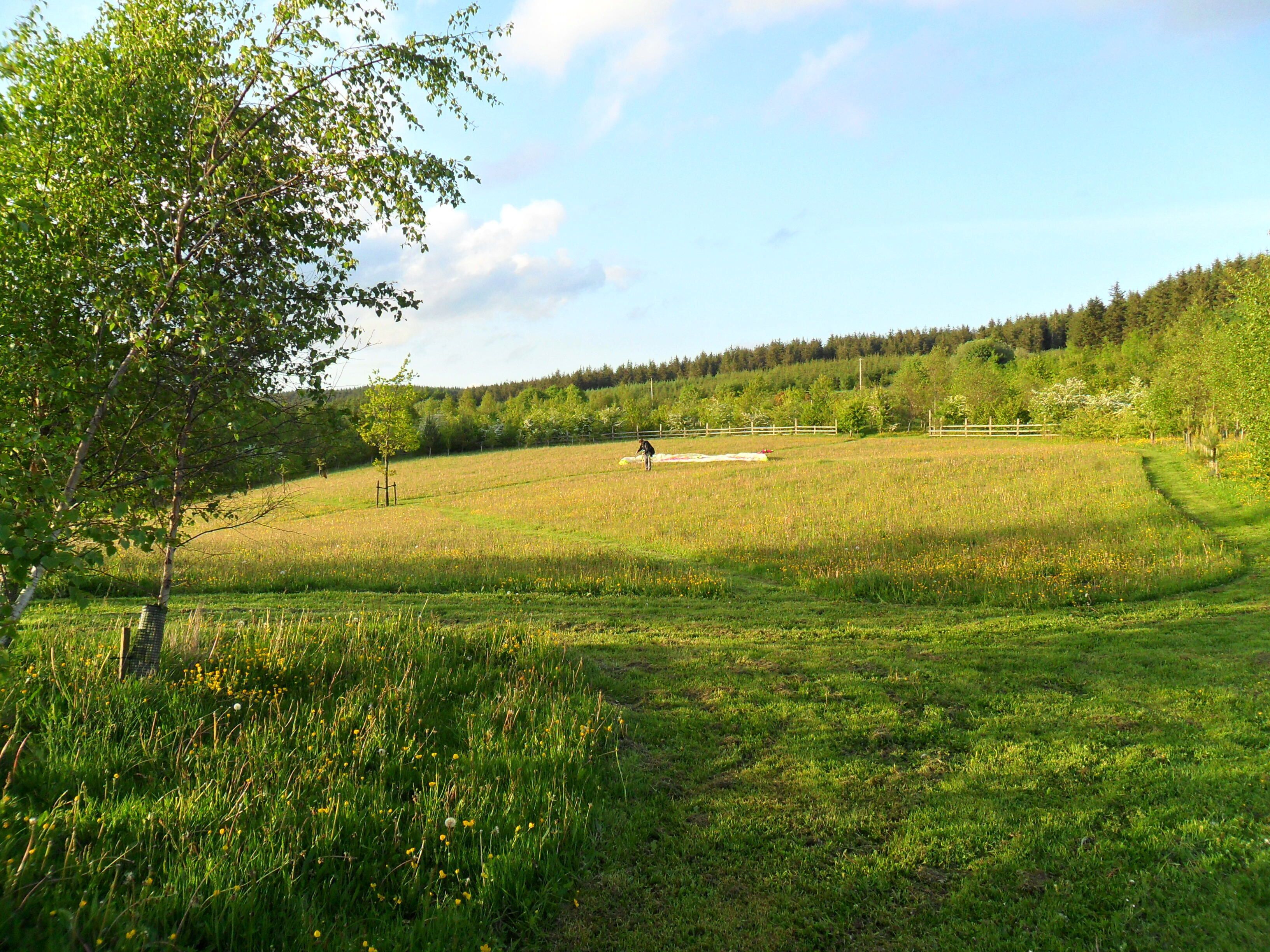 A grassy field with a person walking, trees, and a fence in the background.