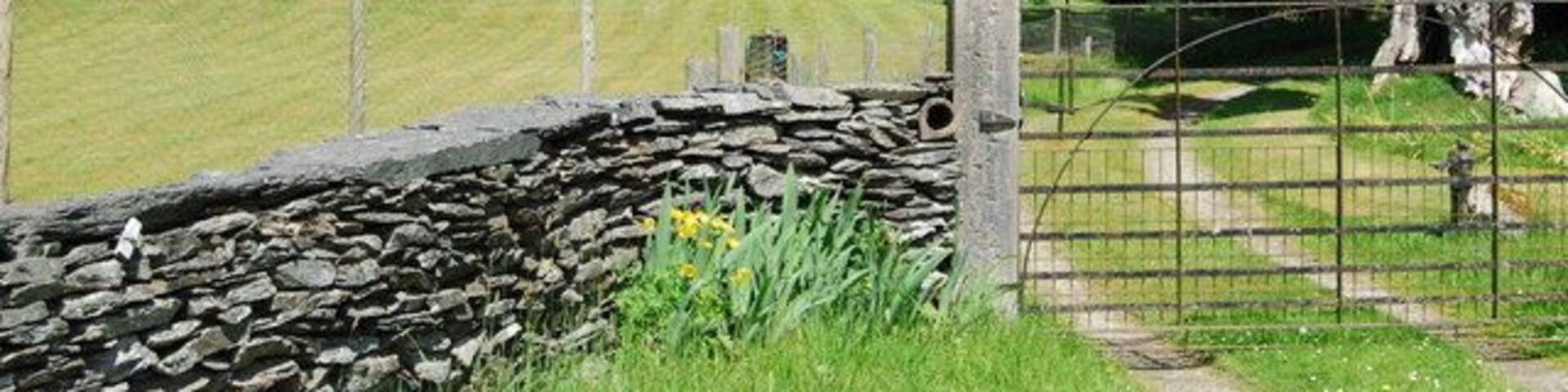 A stone house surrounded by lush greenery and a stone wall.