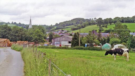 Site of Gwyddelwern station, 1993. View NE, towards the village: ex-LNWR Denbigh - Ruthin (to left) - (to right) Corwen line, closed entirely 1/3/65. The station had been where the sawmills are now and was closed to passengers from 2/2/53, to goods 2/12/57.