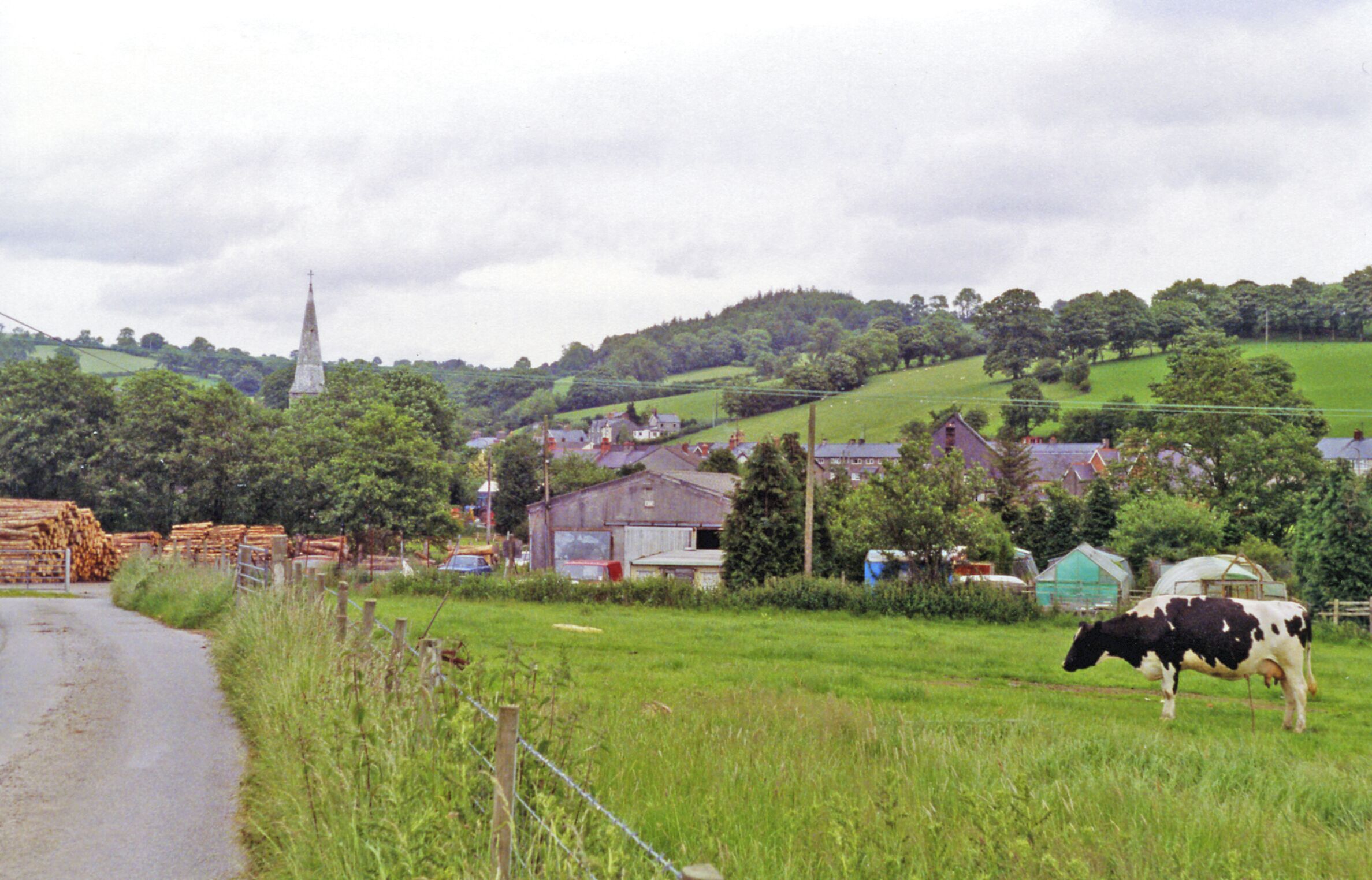 A rural landscape with a church steeple, barns, and a cow grazing.