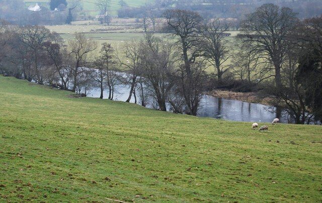 Afon Dyfrdwy at Gwerclas The Welsh Dee is hard against the steep northerly bank of the river at this point, the flood plain extends eastwards towards the railway embankment of the closed Rhiwabon to Morfa Mawddach railway.