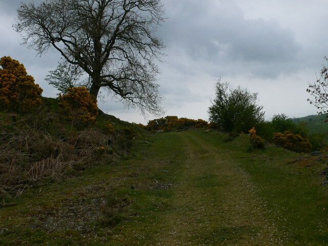 Quarry track at Graig Lelo