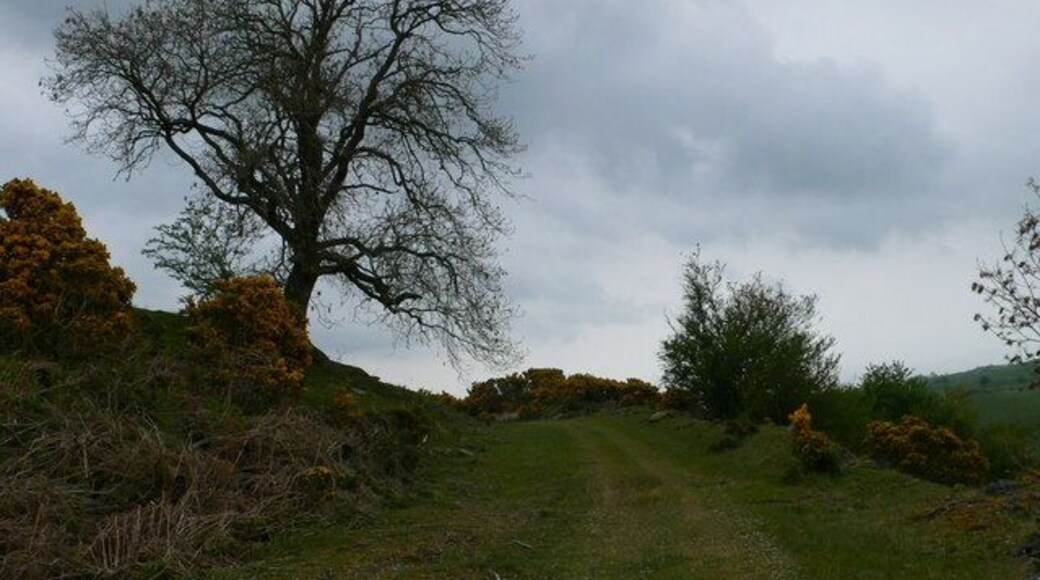 Quarry track at Graig Lelo