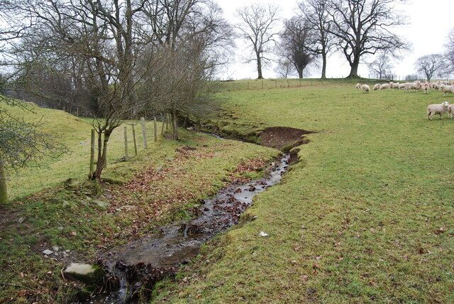 Stream heading towards Afon Dyfrdwy The water from the other side of the top of this photo heads towards the Afon Alwen.