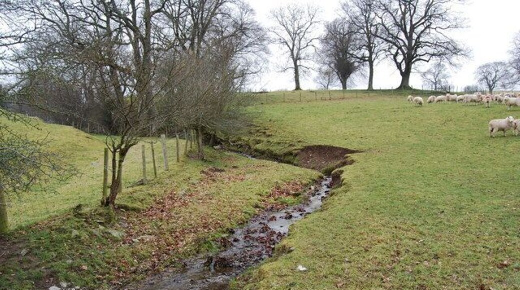 Stream heading towards Afon Dyfrdwy The water from the other side of the top of this photo heads towards the Afon Alwen.