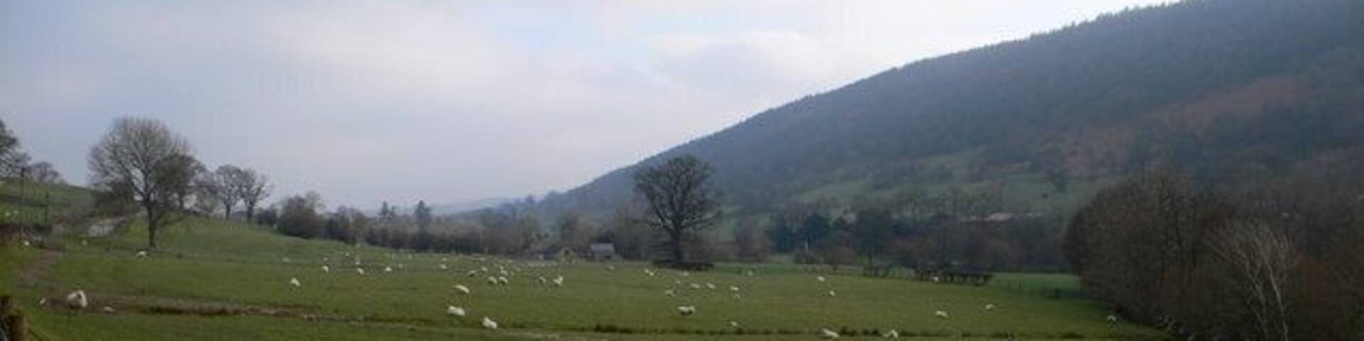 Cwm Pennant Looking north down the Pennant Valley towards Llandrillo.