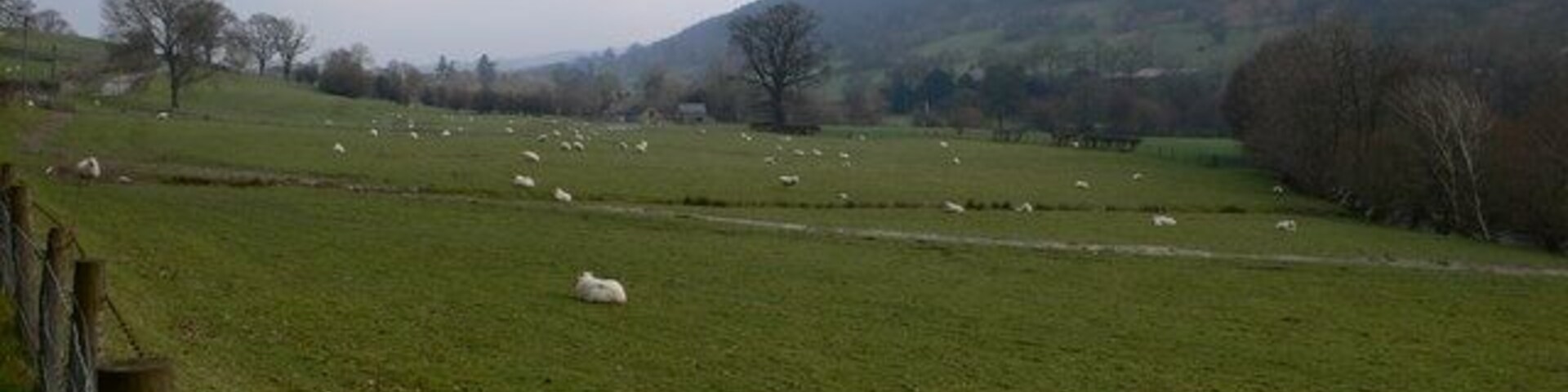 Cwm Pennant Looking north down the Pennant Valley towards Llandrillo.