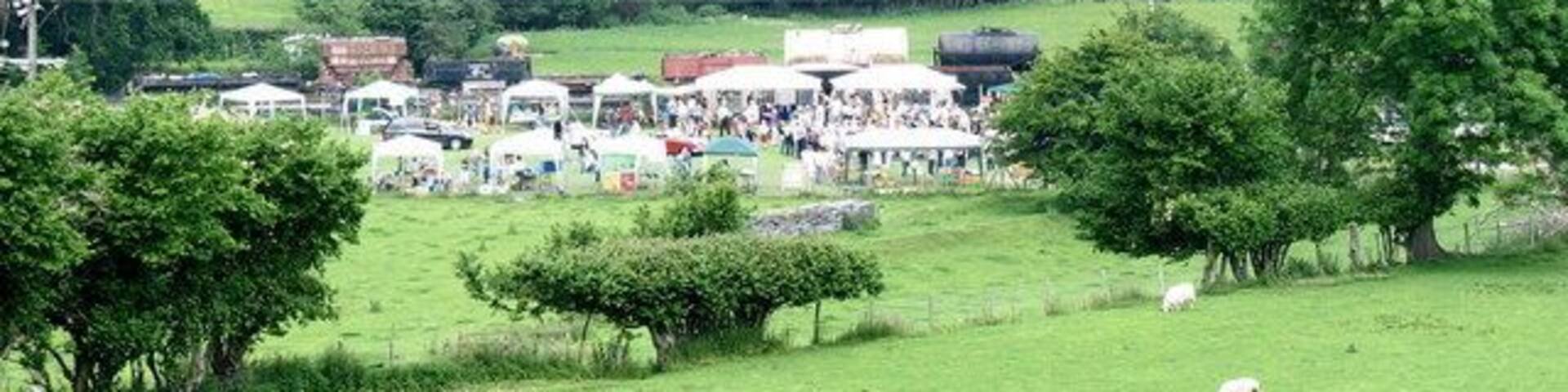 A rural landscape with a green field, sheep grazing, and a gathering of people and vehicles in the distance.