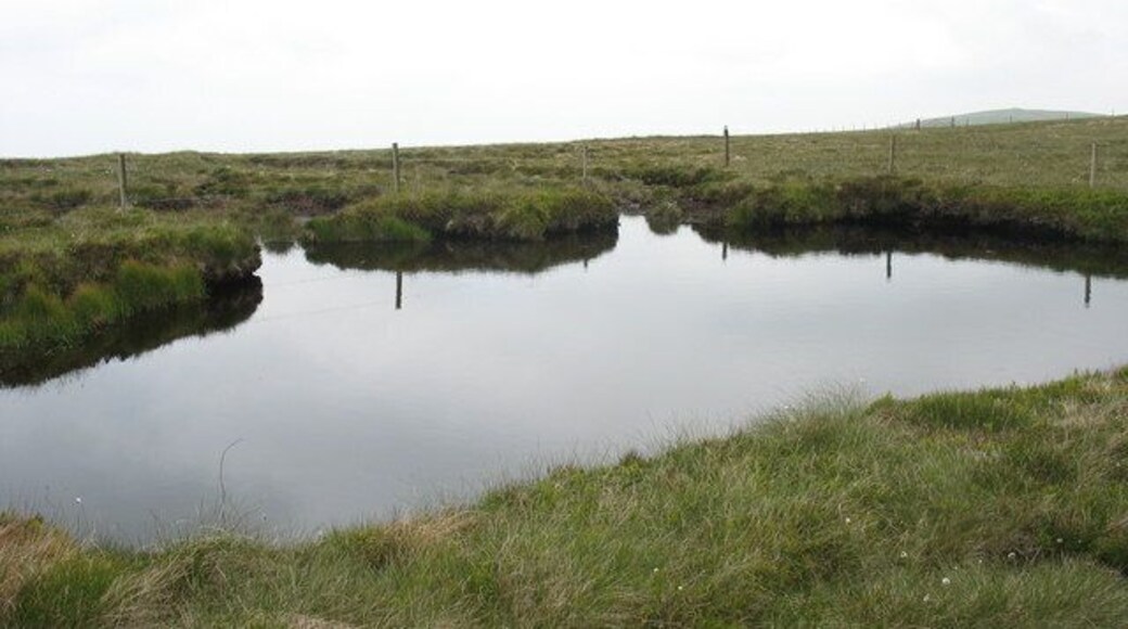 Peaty tarn above Craig Berwyn