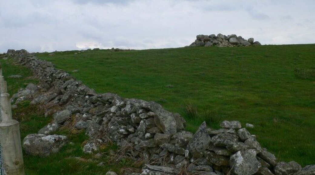 Site of a settlement on Mynydd Rhyd Ddu