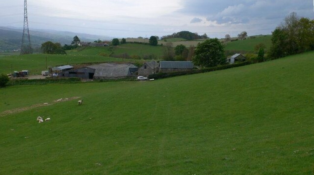 Hendre Bryn Cyffo A farm south-west of Gwyddelwern