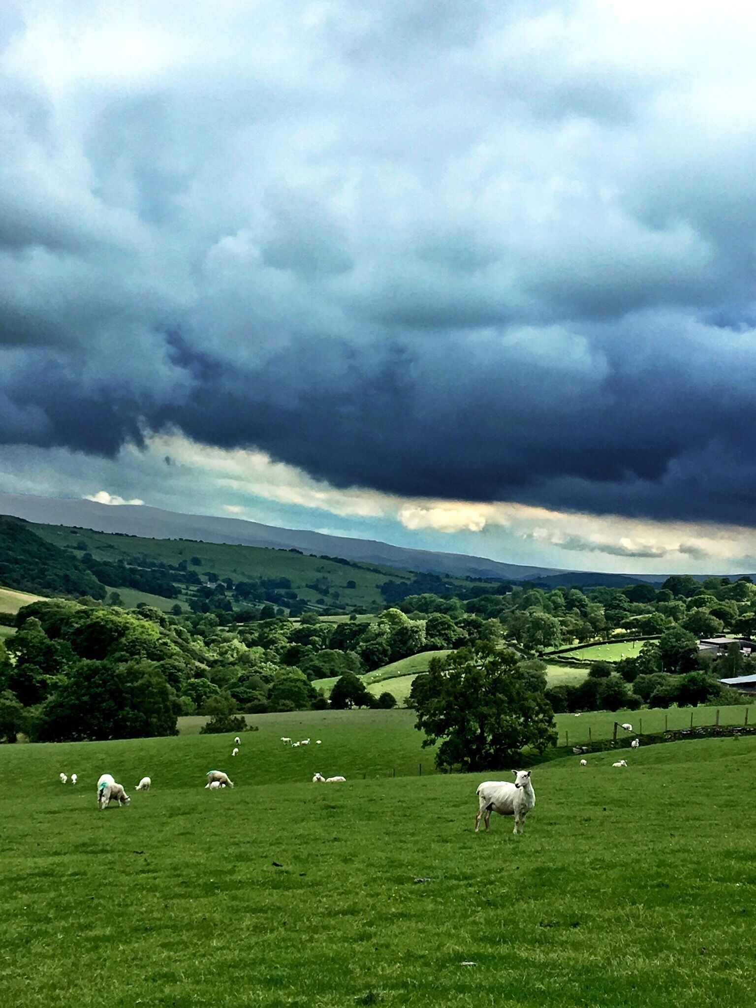 This was taken from a B road near the lake. This is rural North Wales in one picture!