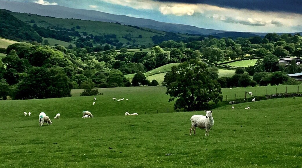 This was taken from a B road near the lake. This is rural North Wales in one picture!