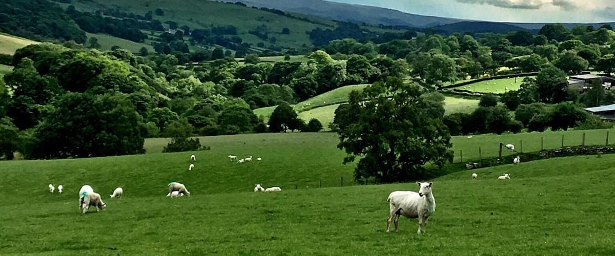 This was taken from a B road near the lake. This is rural North Wales in one picture!