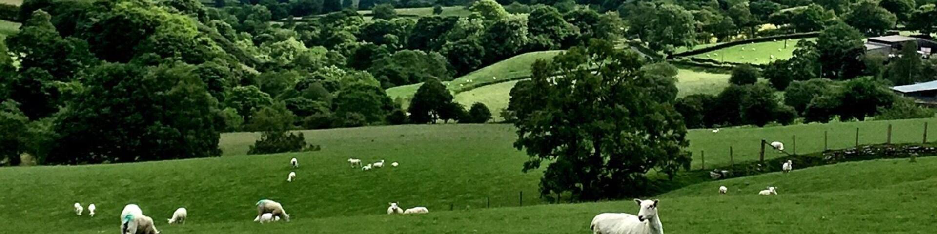 This was taken from a B road near the lake. This is rural North Wales in one picture!