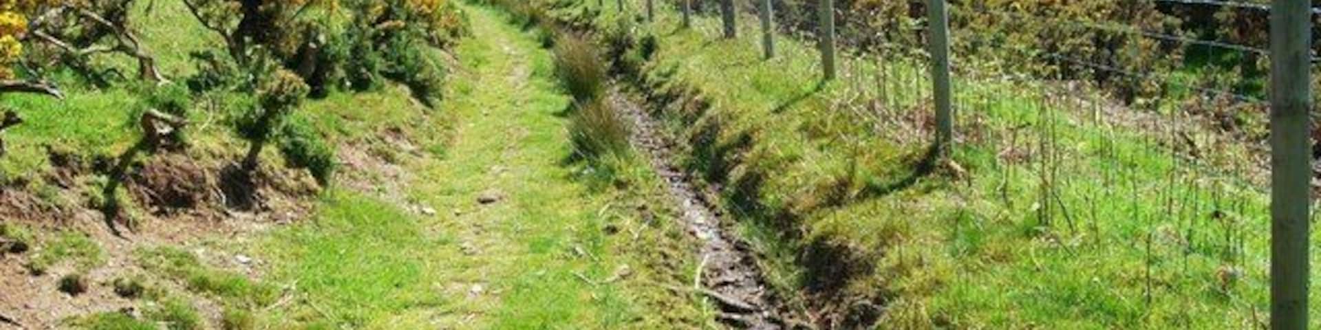 The start of gully erosion It looks as if a spring is letting water onto this track and despite the fact we are in mid summer and it's dry, material was moving downhill in the water. Any increase in flow will increase the erosion. There is a problem in the area with motocycles using the bridlepaths and helping to make this problem worse.