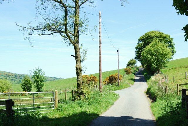Un camino rural estrecho bordeado de árboles y cercas, que atraviesa un paisaje verde.
