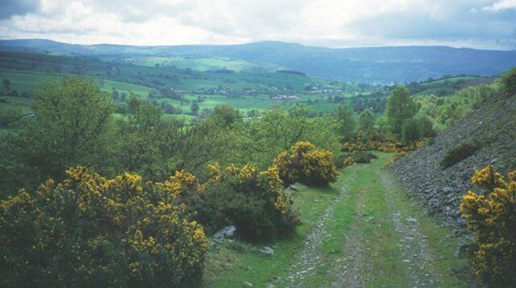 Quarry track, Wern Ddu. Old quarries on the slopes of Mynydd Rhyd Ddu.