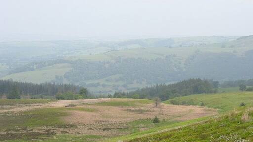 Nant Ffriddisel and the Carrog Plantation This photo is taken from the old quarrymen's path from Llidiart-y-parc to Moel Fferna Quarry.