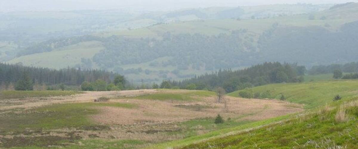A hilly landscape with patches of grass and trees.