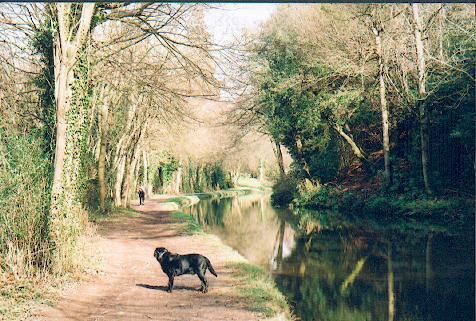Monmouthshire and Brecon canal. A stretch of the attractive canal near Llangattock.