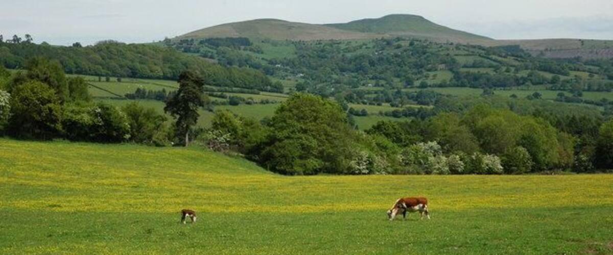 The Sugar Loaf The Sugar Loaf viewed from the towpath of Monmouthshire and Brecon Canal near Llangattock.