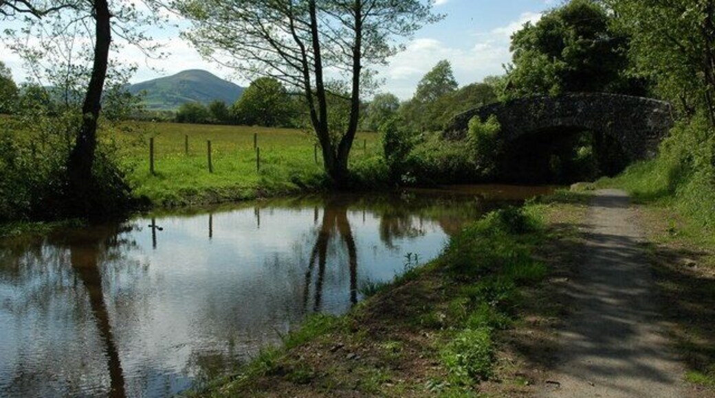 Monmouthshire and Brecon Canal approaching bridge 127 The 551m high Tor y Foel can be seen in the distance through the trees.