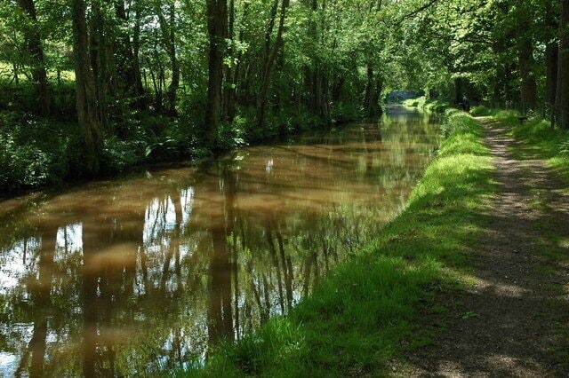 A river with a grassy bank and trees reflecting in the water.