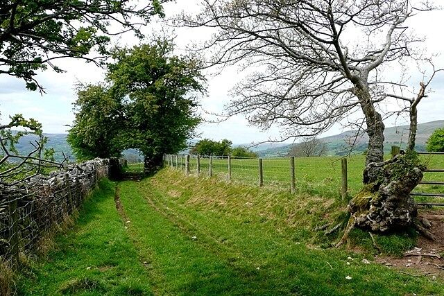 A rural path with stone walls, a fence, and trees.