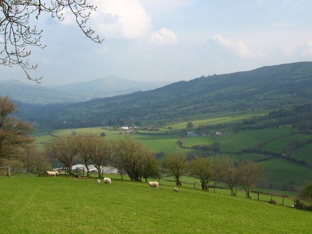 A green valley with sheep grazing, trees, and distant hills.