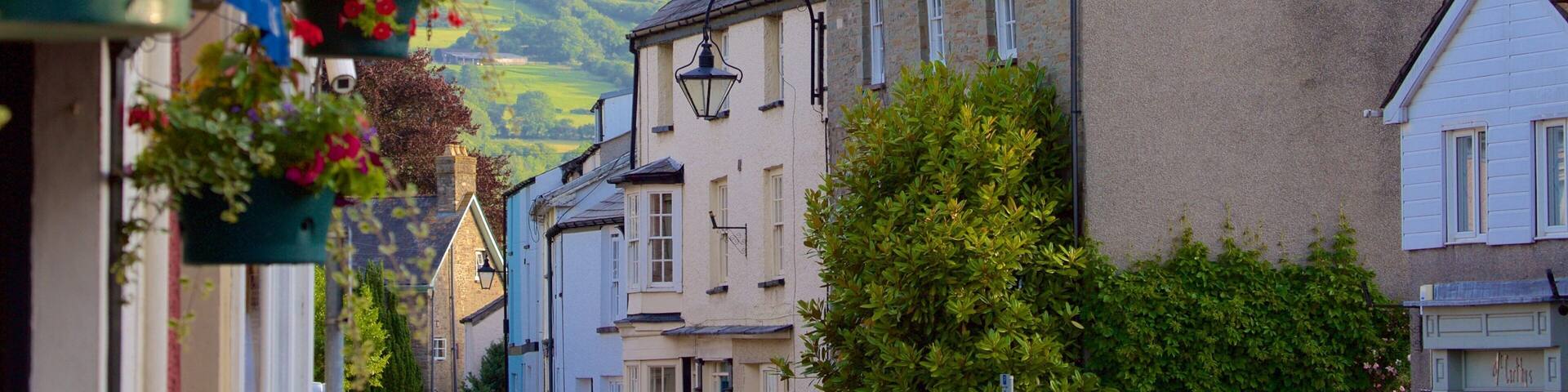 A street with buildings, a hanging flower basket, and a mountain in the background.