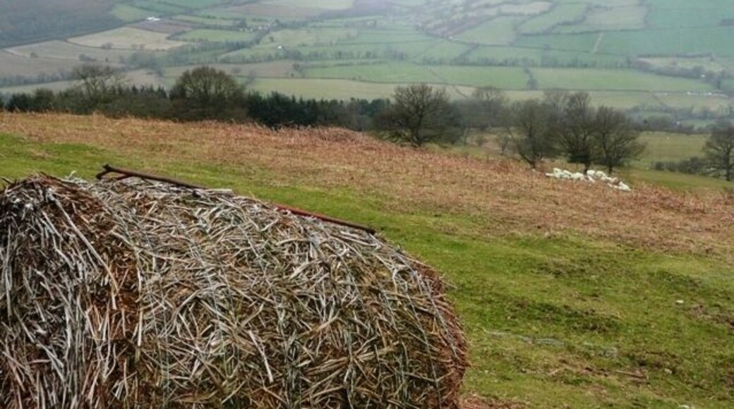 Towards the Beacons From the north-east corner of the square, looking south west towards the main section of the Brecon Beacons. The day cleared later, but the view is still a bit misty this morning.