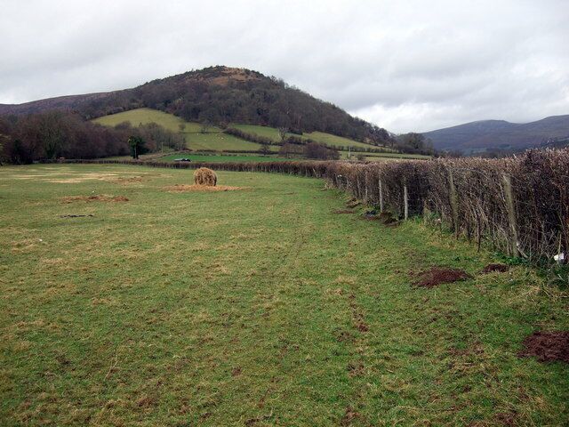 A grassy field with a hay bale, a fence, and a hill in the background.