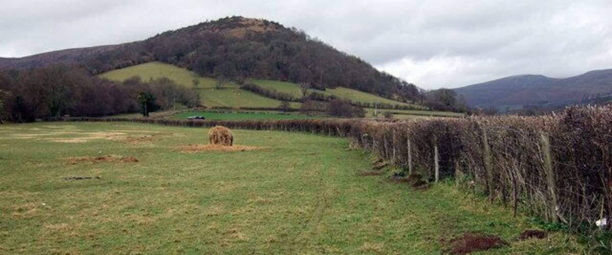 A grassy field with a hay bale, a fence, and a hill in the background.