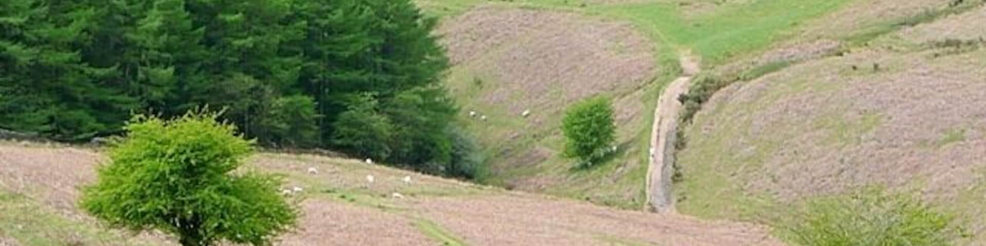 Cwm Gwenffrwd The path is a good one and the drop into the cwm is not as steep as it looks.