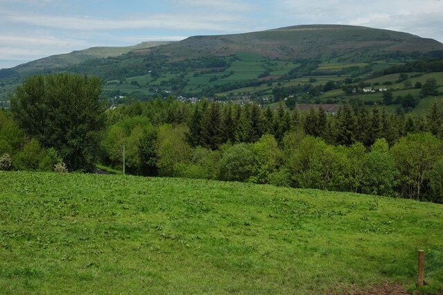 A green field with trees and a hill in the background.