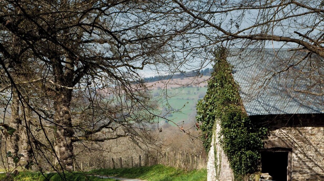 Llangynidr, Wales IMG_0462.jpg