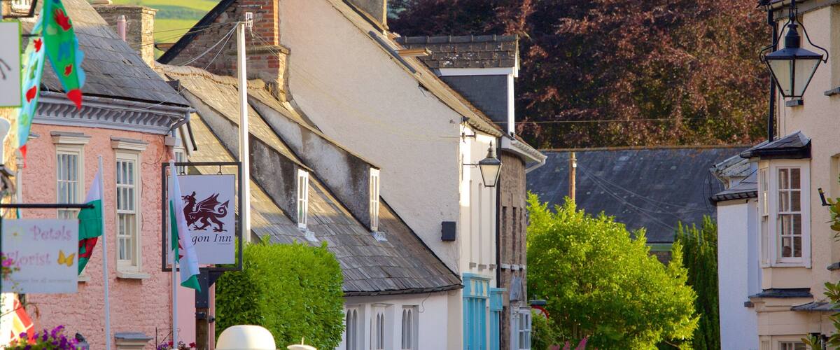 A quaint village street with traditional buildings, a sign for 'Petals Florist', and a 'Dragon Inn' sign.