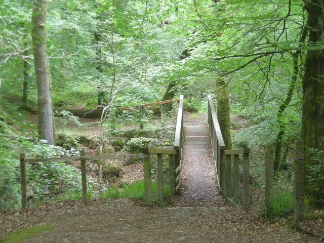 Footbridge on Torrent Walk